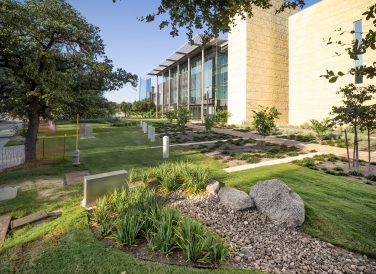 Landscaping along San Antonio Federal Courthouse, Texas